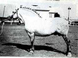 216518